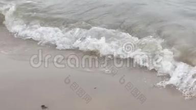 波克蒂安海滩上的水母被冲上沙滩